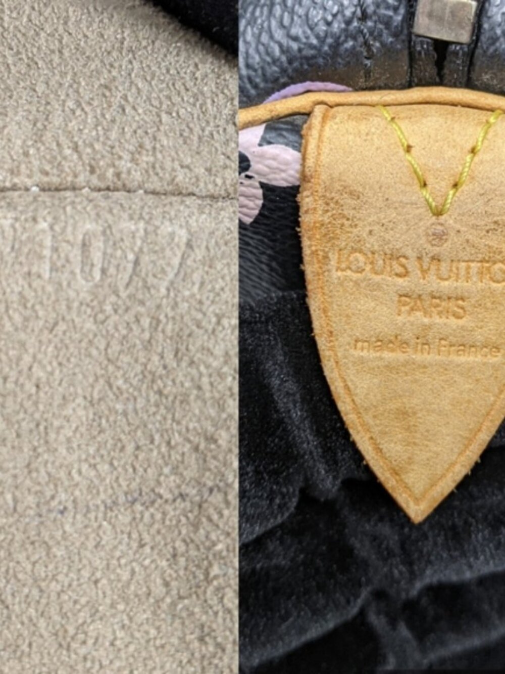 LOUIS VUITTON Multicolor Speedy 30 Tote Bag - Picture 10 of 16